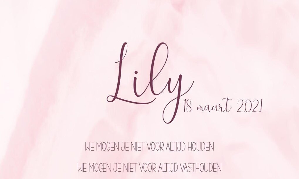 Lily*