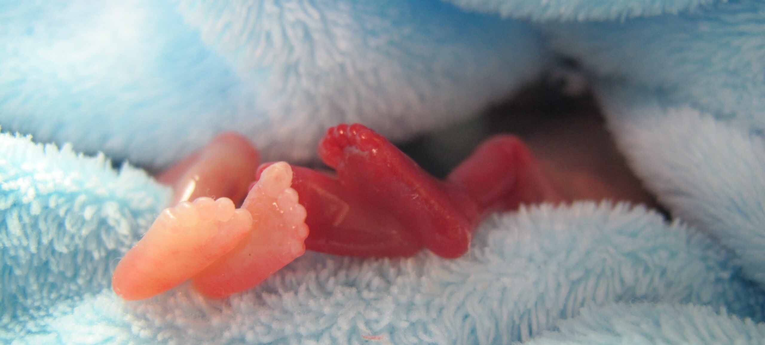 Sfeerbeeld Boven De Wolken